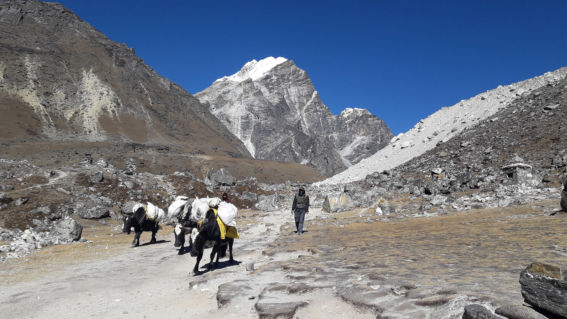 Lobuche peak