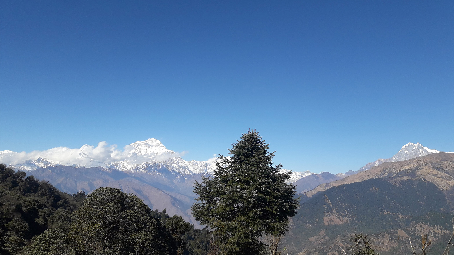 Khopra Trek
